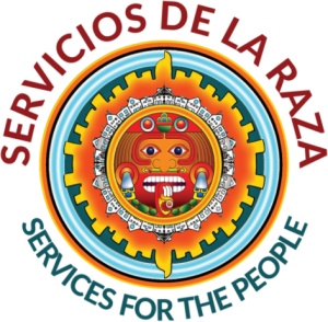 Servicios De La Raza